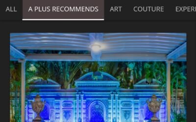 Top 5 Reasons Digital Auctions Unlock Fundraising Success