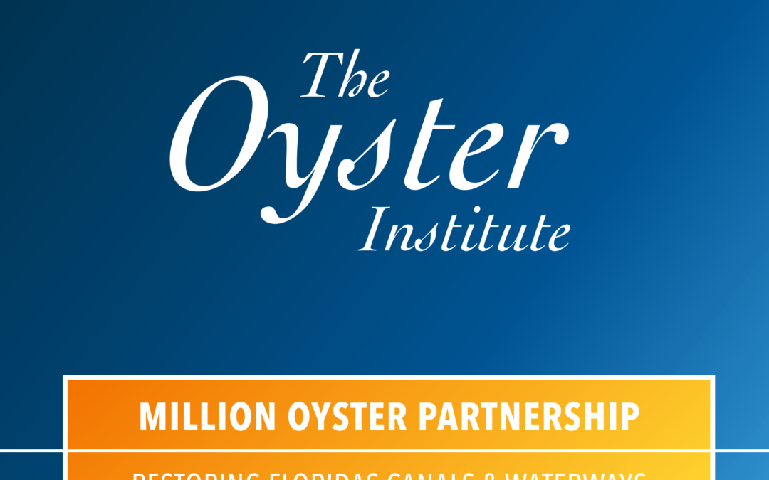 Ocean Conservation: Rodeo Swim Cause